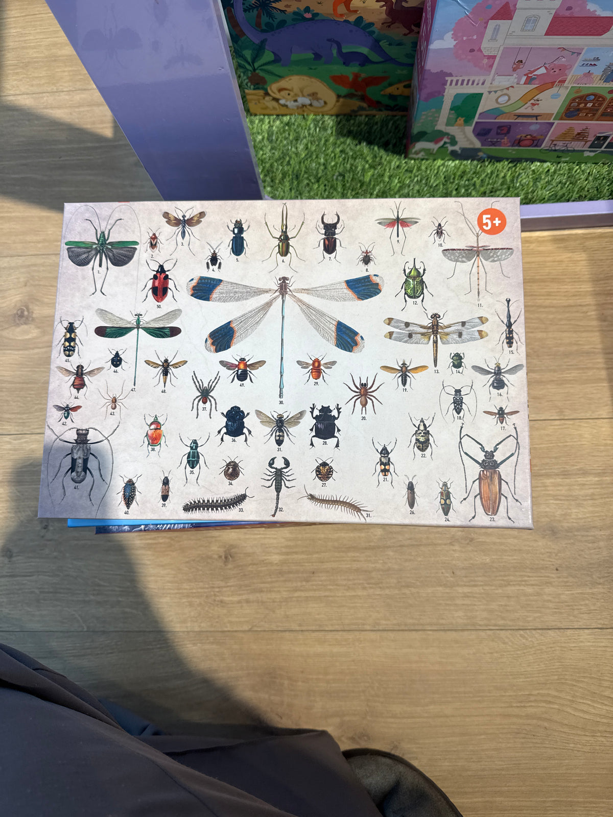 Penny Puzzle - Bugs And Beetles 150